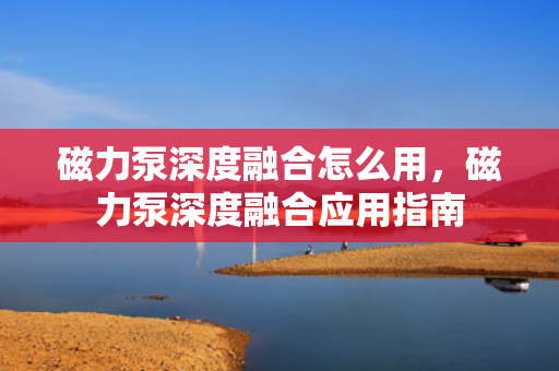 磁力泵深度融合怎么用，磁力泵深度融合应用指南