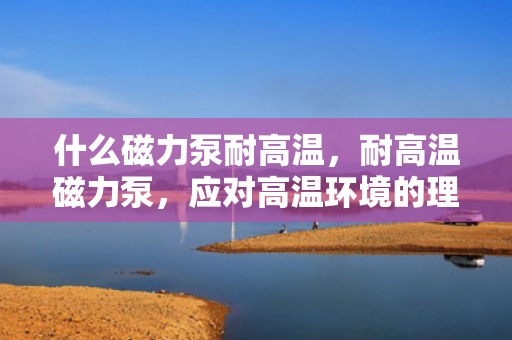 什么磁力泵耐高温，耐高温磁力泵，应对高温环境的理想选择