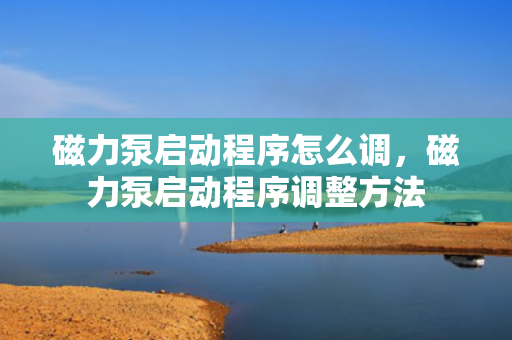 磁力泵启动程序怎么调，磁力泵启动程序调整方法