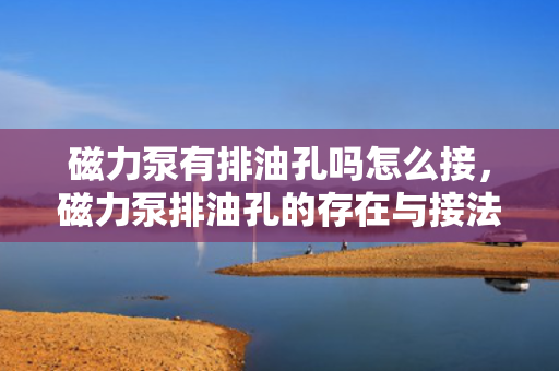 磁力泵有排油孔吗怎么接，磁力泵排油孔的存在与接法解析