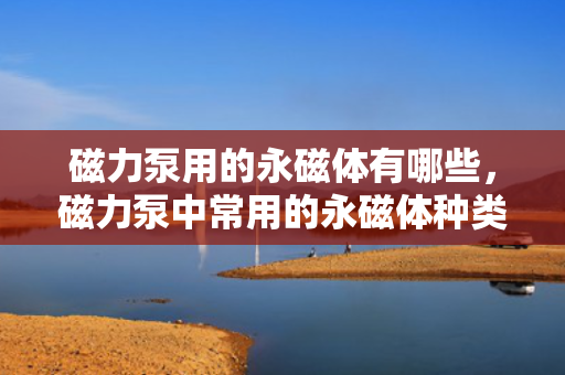 磁力泵用的永磁体有哪些，磁力泵中常用的永磁体种类介绍