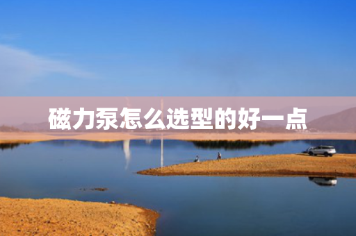 磁力泵怎么选型的好一点