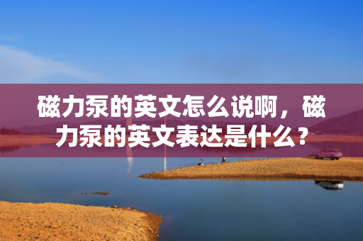 磁力泵的英文怎么说啊，磁力泵的英文表达是什么？