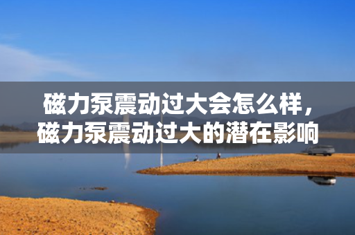 磁力泵震动过大会怎么样，磁力泵震动过大的潜在影响及后果
