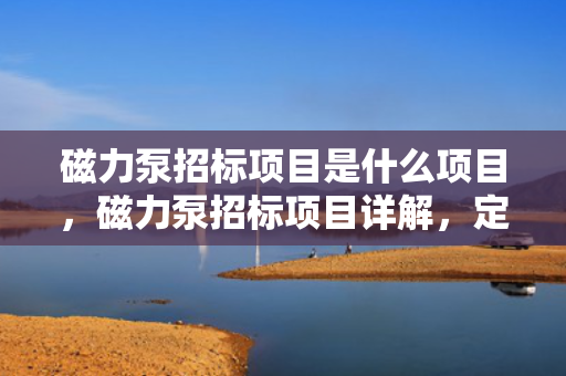 磁力泵招标项目是什么项目，磁力泵招标项目详解，定义、流程及关键要点