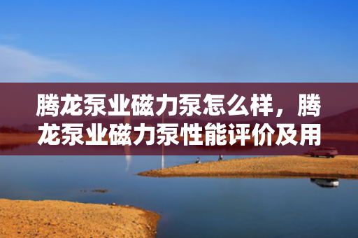 腾龙泵业磁力泵怎么样，腾龙泵业磁力泵性能评价及用户反馈