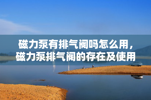 磁力泵有排气阀吗怎么用，磁力泵排气阀的存在及使用方法解析