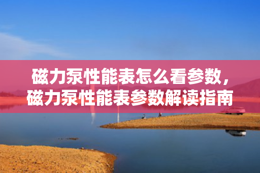 磁力泵性能表怎么看参数，磁力泵性能表参数解读指南