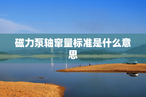 磁力泵轴窜量标准是什么意思