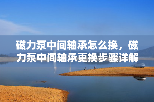 磁力泵中间轴承怎么换，磁力泵中间轴承更换步骤详解