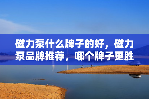 磁力泵什么牌子的好，磁力泵品牌推荐，哪个牌子更胜一筹？