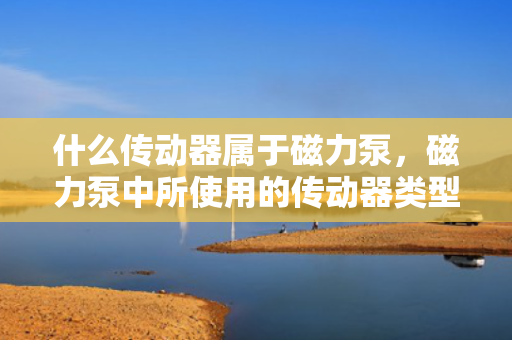 什么传动器属于磁力泵，磁力泵中所使用的传动器类型