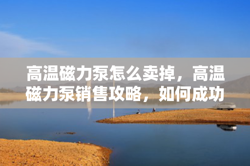高温磁力泵怎么卖掉，高温磁力泵销售攻略，如何成功出售您的设备