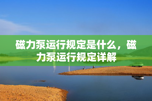 磁力泵运行规定是什么，磁力泵运行规定详解