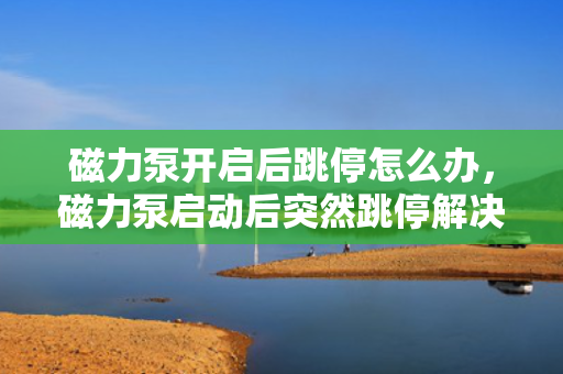 磁力泵开启后跳停怎么办，磁力泵启动后突然跳停解决方法