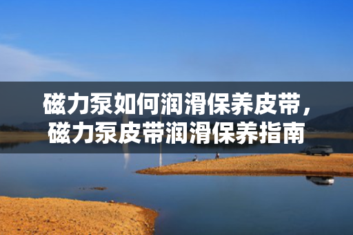 磁力泵如何润滑保养皮带，磁力泵皮带润滑保养指南