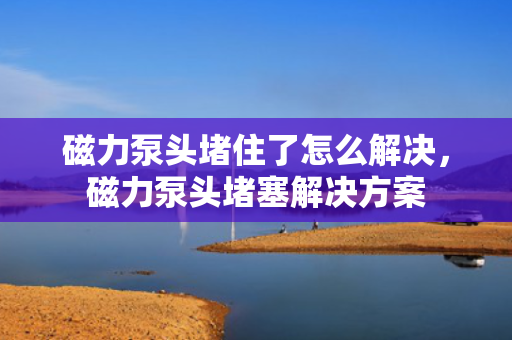 磁力泵头堵住了怎么解决，磁力泵头堵塞解决方案