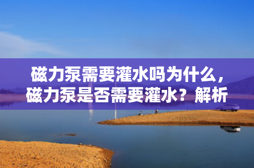 磁力泵需要灌水吗为什么，磁力泵是否需要灌水？解析磁力泵的工作原理及操作要求