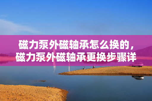 磁力泵外磁轴承怎么换的，磁力泵外磁轴承更换步骤详解