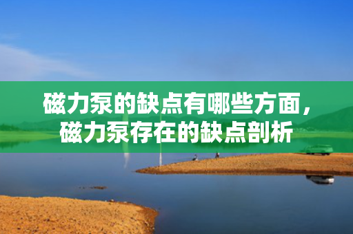 磁力泵的缺点有哪些方面，磁力泵存在的缺点剖析