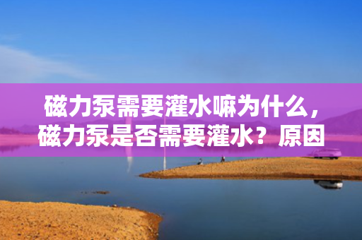 磁力泵需要灌水嘛为什么，磁力泵是否需要灌水？原因解析