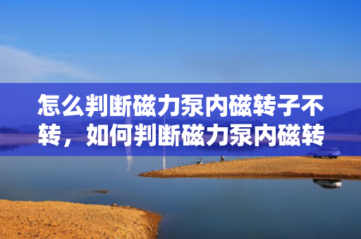 怎么判断磁力泵内磁转子不转，如何判断磁力泵内磁转子是否停止转动