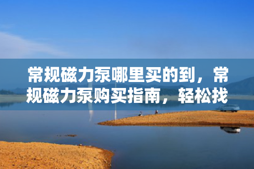 常规磁力泵哪里买的到，常规磁力泵购买指南，轻松找到购买渠道