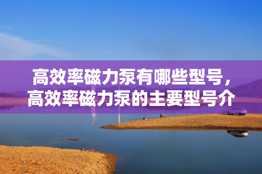 高效率磁力泵有哪些型号，高效率磁力泵的主要型号介绍