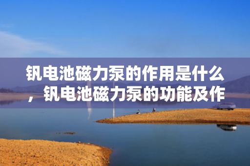 钒电池磁力泵的作用是什么，钒电池磁力泵的功能及作用解析