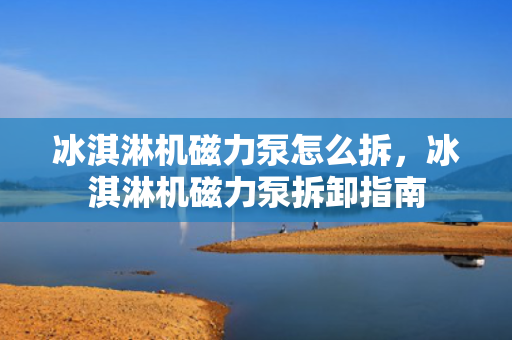 冰淇淋机磁力泵怎么拆，冰淇淋机磁力泵拆卸指南