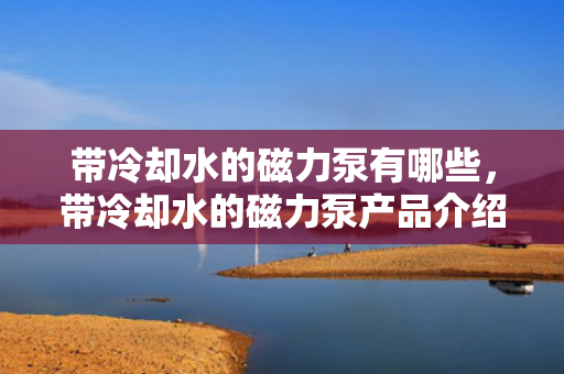带冷却水的磁力泵有哪些，带冷却水的磁力泵产品介绍