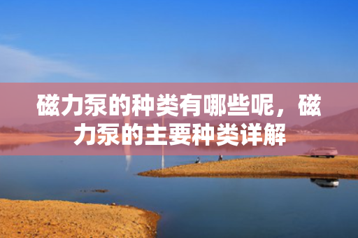 磁力泵的种类有哪些呢，磁力泵的主要种类详解