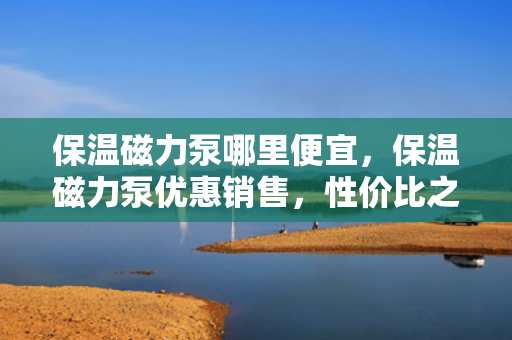 保温磁力泵哪里便宜，保温磁力泵优惠销售，性价比之选
