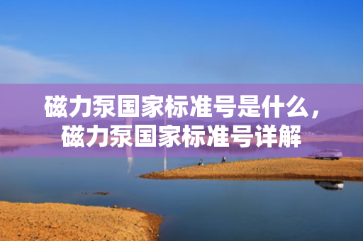 磁力泵国家标准号是什么，磁力泵国家标准号详解