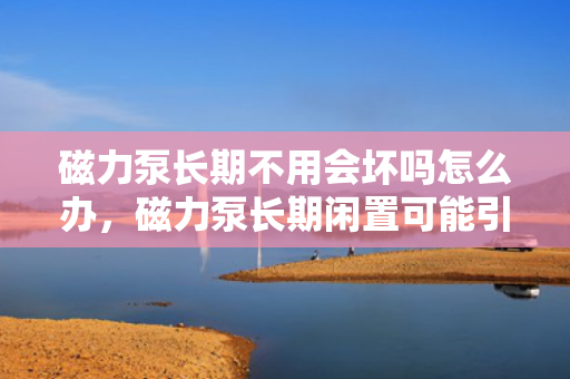 磁力泵长期不用会坏吗怎么办，磁力泵长期闲置可能引发的问题及应对措施