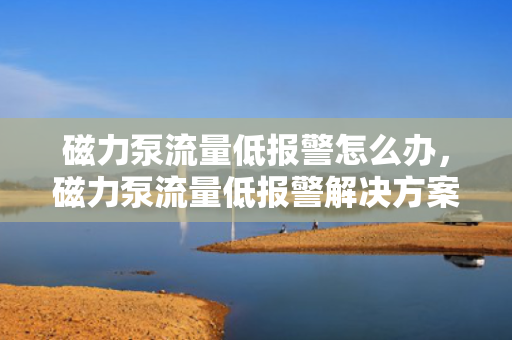 磁力泵流量低报警怎么办，磁力泵流量低报警解决方案