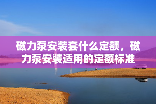磁力泵安装套什么定额，磁力泵安装适用的定额标准