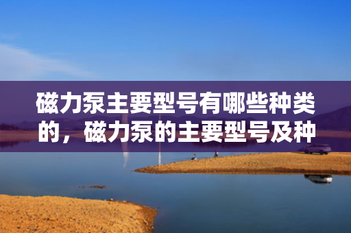 磁力泵主要型号有哪些种类的，磁力泵的主要型号及种类解析