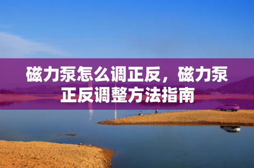 磁力泵怎么调正反，磁力泵正反调整方法指南