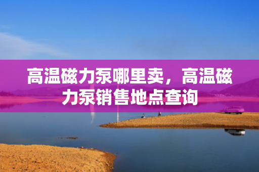 高温磁力泵哪里卖，高温磁力泵销售地点查询