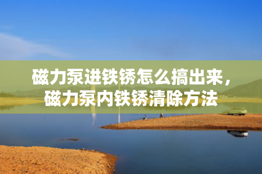 磁力泵进铁锈怎么搞出来，磁力泵内铁锈清除方法