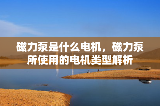 磁力泵是什么电机，磁力泵所使用的电机类型解析