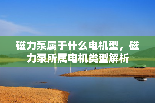 磁力泵属于什么电机型，磁力泵所属电机类型解析