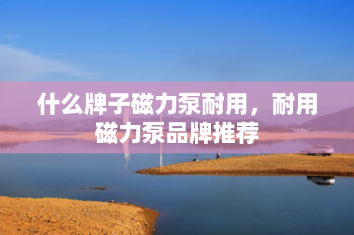 什么牌子磁力泵耐用，耐用磁力泵品牌推荐