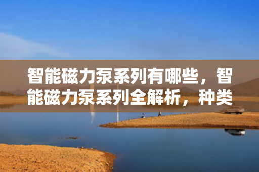 智能磁力泵系列有哪些，智能磁力泵系列全解析，种类、特点及应用领域