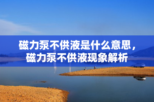 磁力泵不供液是什么意思，磁力泵不供液现象解析