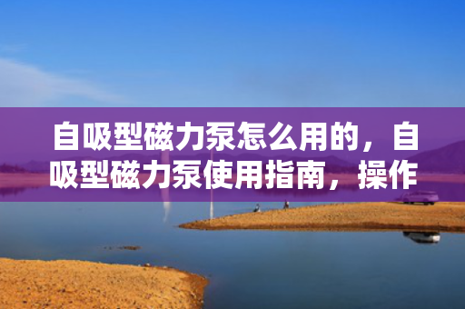 自吸型磁力泵怎么用的，自吸型磁力泵使用指南，操作步骤与注意事项