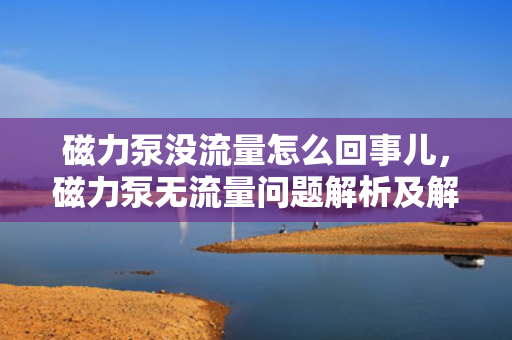 磁力泵没流量怎么回事儿，磁力泵无流量问题解析及解决方案