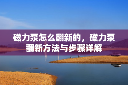 磁力泵怎么翻新的，磁力泵翻新方法与步骤详解