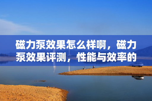 磁力泵效果怎么样啊，磁力泵效果评测，性能与效率的综合分析